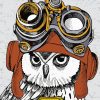 Steampunk Owl Art Paint By Number