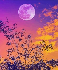 Sunset Full Moon paint by numbers