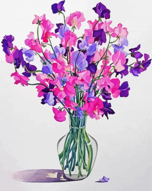 Sweet Pea Illustration paint by numbers