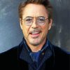 The Actor Robert Downey Jr Paint By Number