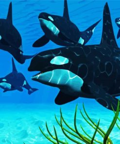 The Killer Whale paint by numbers