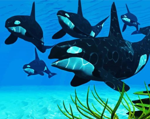 The Killer Whale paint by numbers