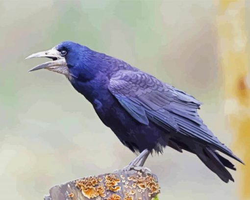 The Rook Bird Paint By Number