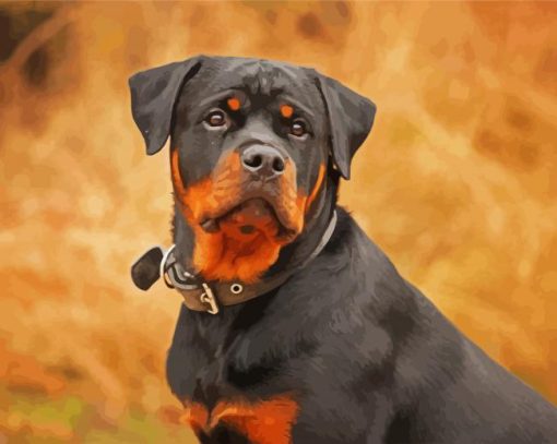 The Rottweiler Dog paint by numbers