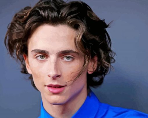 Timothee Chalamet paint by numbers