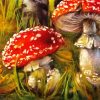 Toadstools paint by numbers