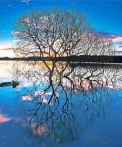 Tree Reflection on Lake paint by numbers