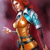 Triss Merigold The Witcher Game paint by numbers