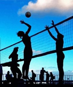 Volleyball Players Silhouette paint by numbers