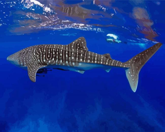 The Whale Shark Underwater Paint By Number