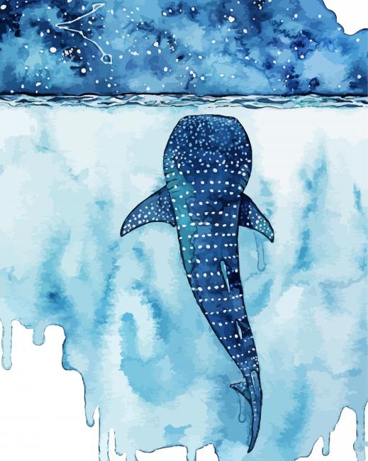 The Whale Shark Art Paint By Number