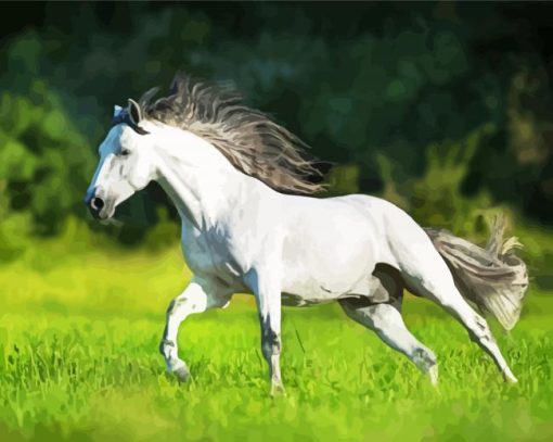 White Andalusian Horse Running Paint By Number