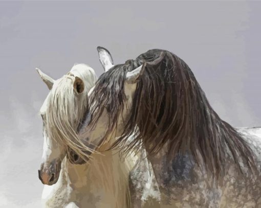 White Andalusian Horses Paint By Number
