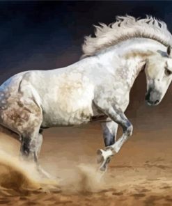 White Andalusian Horse Paint By Number