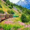 White Pass and Yukon Route Railway Alaska paint by numbers