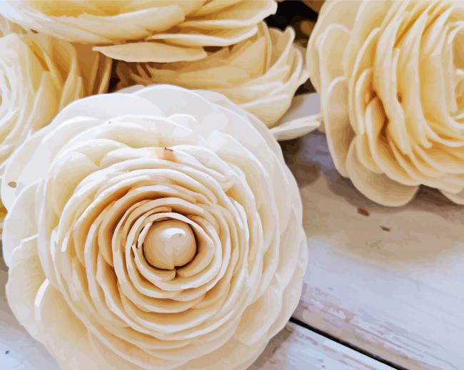 White Ranunculus Flowers Paint By Number