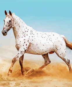 White Appaloosa Paint By Number