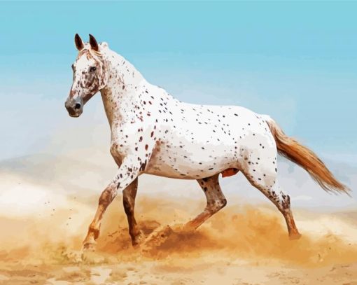 White Appaloosa Paint By Number