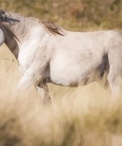 White Brumby paint by numbers