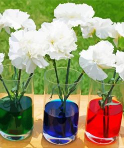 White Carnations Glasses paint by numbers
