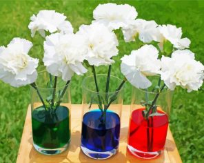 White Carnations Glasses paint by numbers