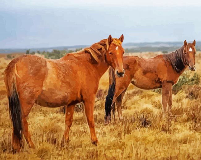 Wild Brown Brumby Horses paint by numbers