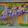 Wisteria paint by numbers