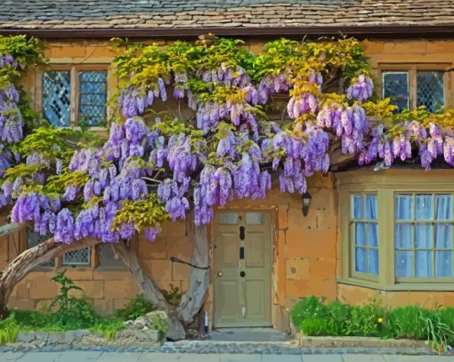 Wisteria paint by numbers
