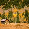 Wooden Cabin In Fall Paint By Number