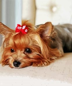 Small Yorkie Paint By Number