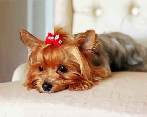 Small Yorkie Paint By Number