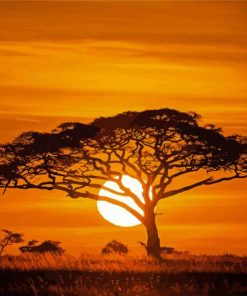 Acacia Tree Silhouette paint by numbers
