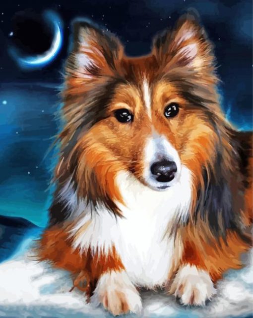 Adorable Sheltie Dog Paint By Number