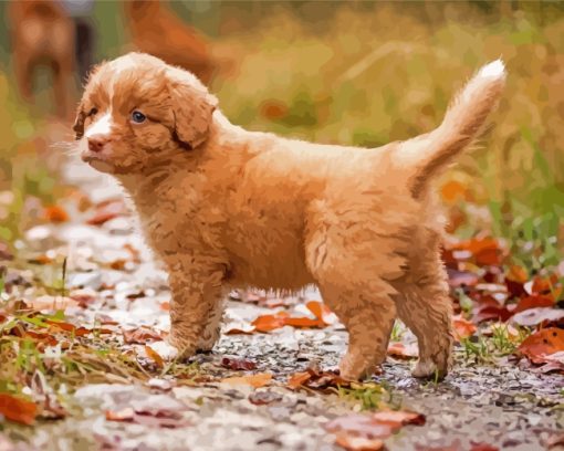 Adorable Toller Dog Paint By Number