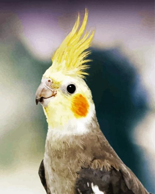 Aesthetic Cockatiel Paint By Number