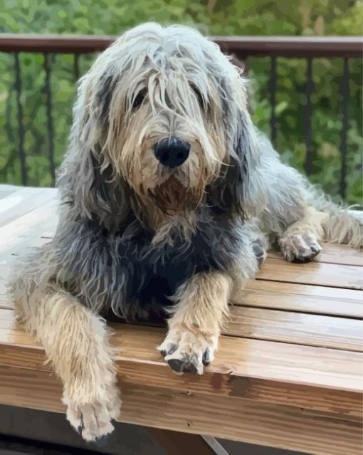 Aesthetic Otterhound paint by numbers