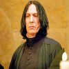 Aesthetic Professor Severus Snape Paint By Number