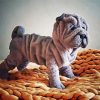 Aesthetic Sharpei Puppy Paint By Number