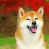 Aesthetic Shiba Inu Dog Paint By Number