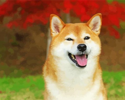 Aesthetic Shiba Inu Dog Paint By Number