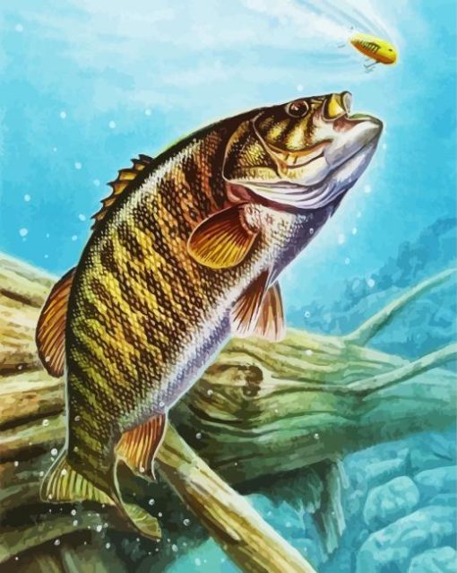 Aesthetic Smallmouth Bass Paint By Number
