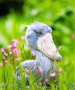 Aesthetic Shoebill Paint By Number