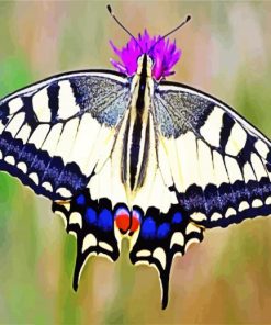 Aesthetic Swallowtail paint by numbers