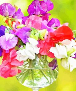 Aesthetic Sweetpea Bouquet Paint By Number