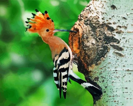 Aesthetic Woodpeckers paint by numbers