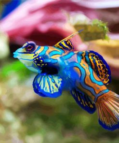 Aesthetic Colorful Fish Paint By Number