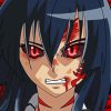 Akame Anime Girl Paint By Number