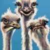 Aesthetic Ostriches paint by numbers
