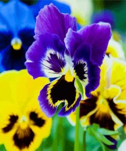 Aesthetic Pansy Flowers paint by numbers