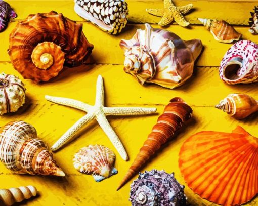 Aesthetic Seashells Paint By Number